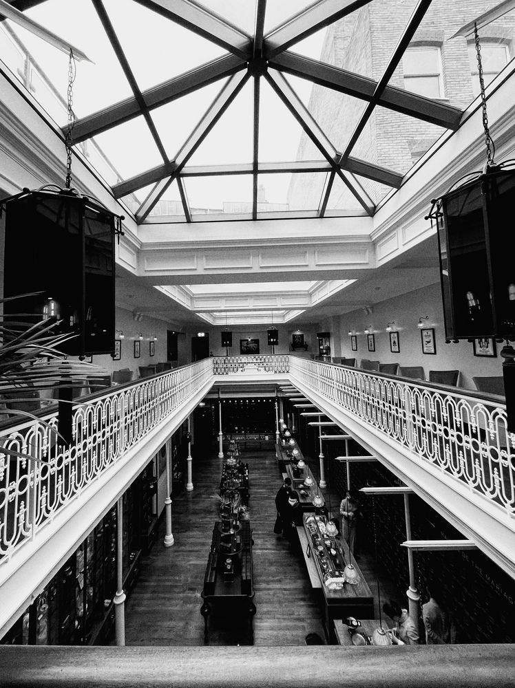 Photograph by Vera Notovich