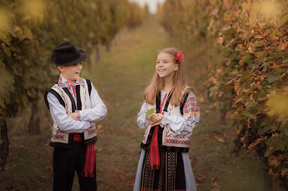 Виноградники Молдовы