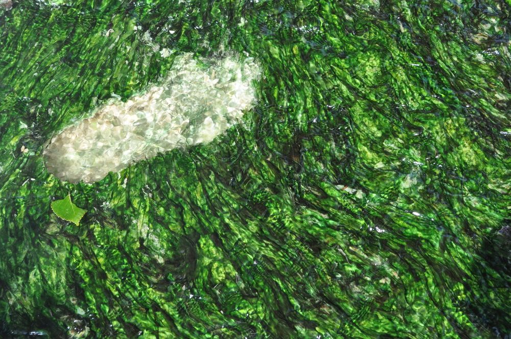 След человека