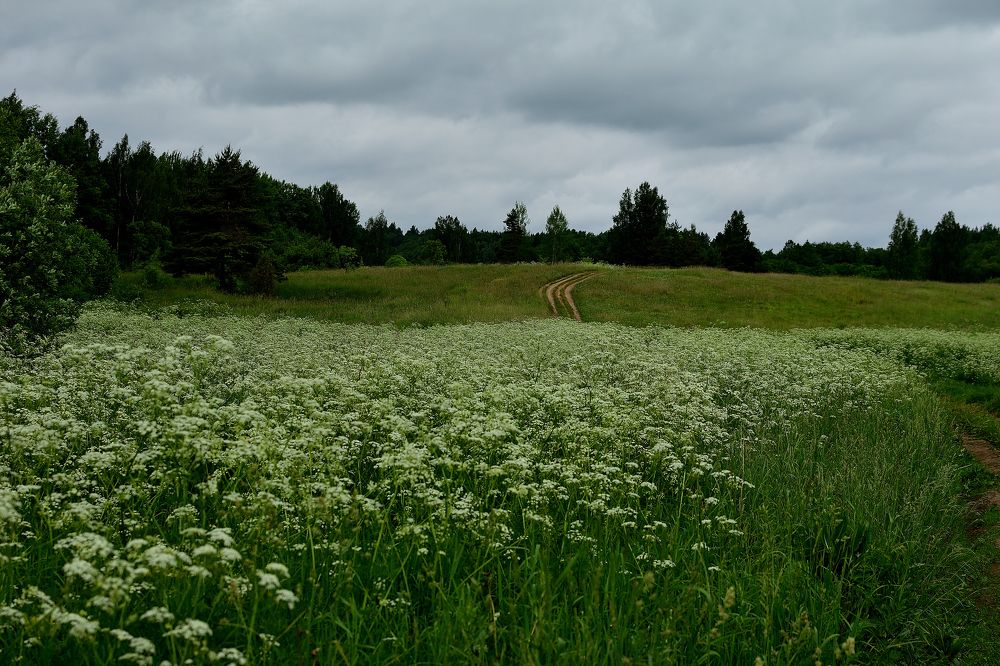 Photograph by Александр Киреев