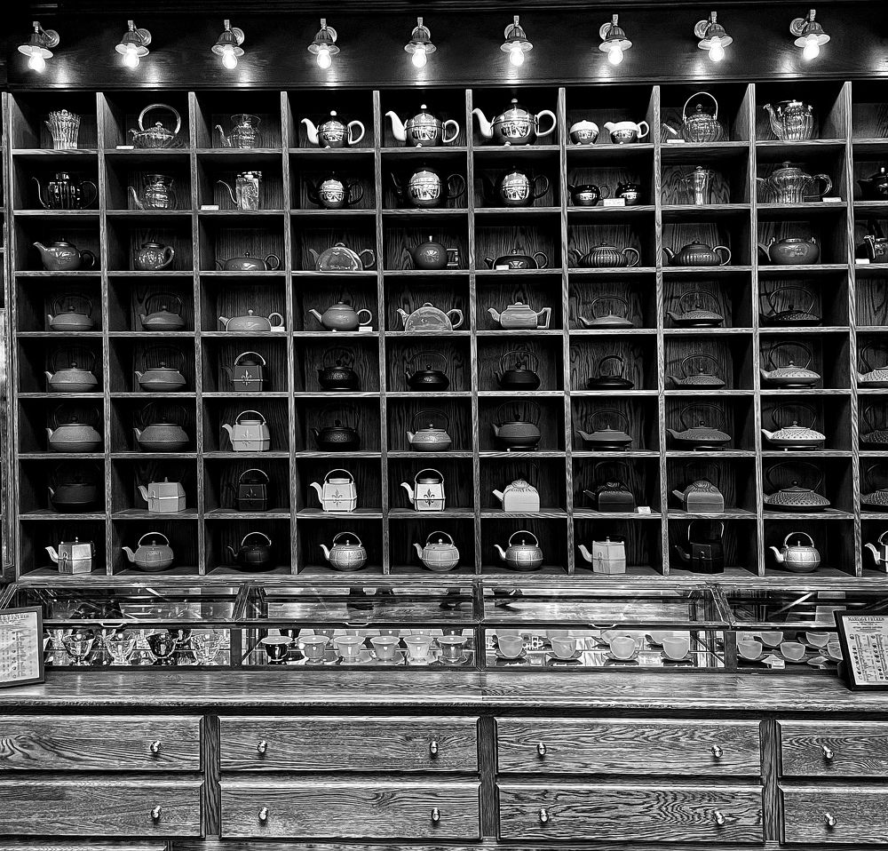 Photograph by Vera Notovich