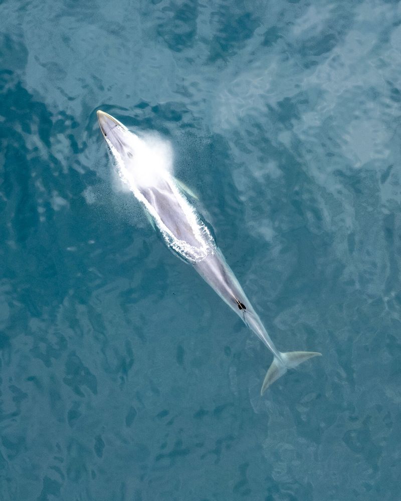 Photograph by Cifuentes Alejandro