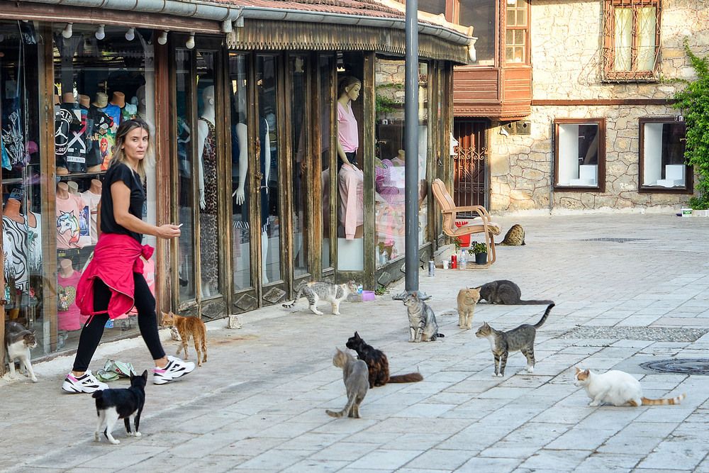 Photograph by Эдуард Шадров