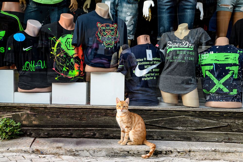 Photograph by Эдуард Шадров