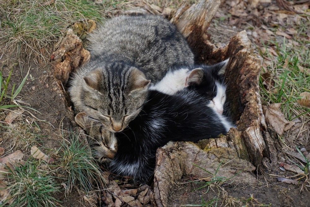 Вместе теплее