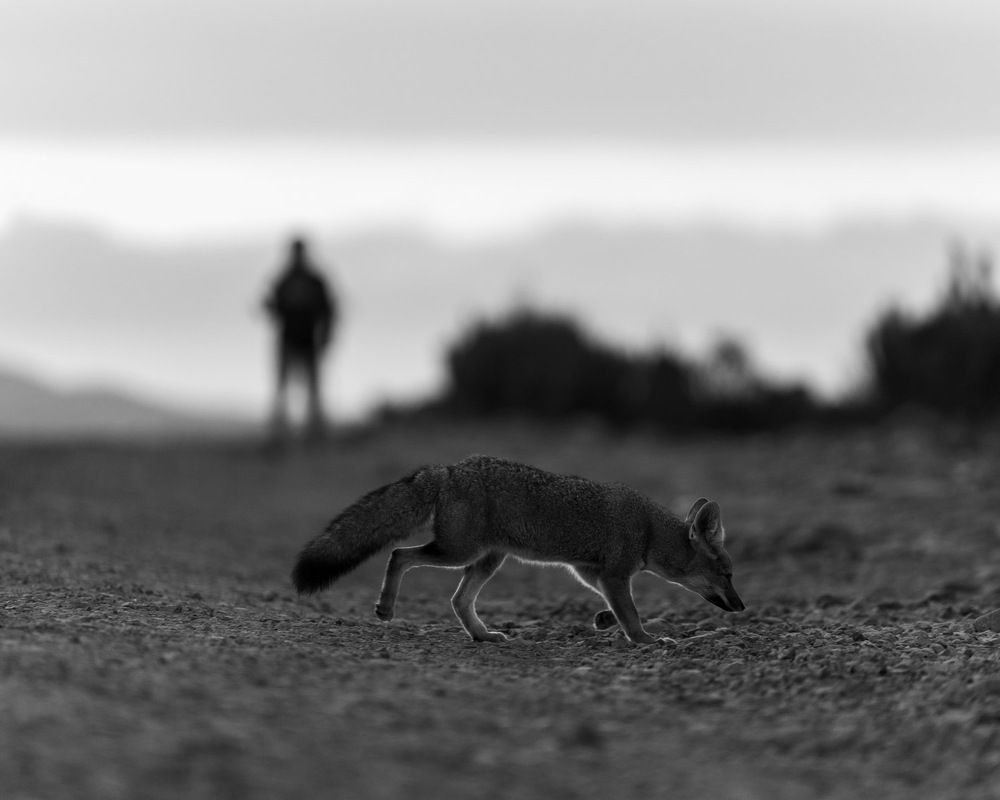 Photograph by Cifuentes Alejandro