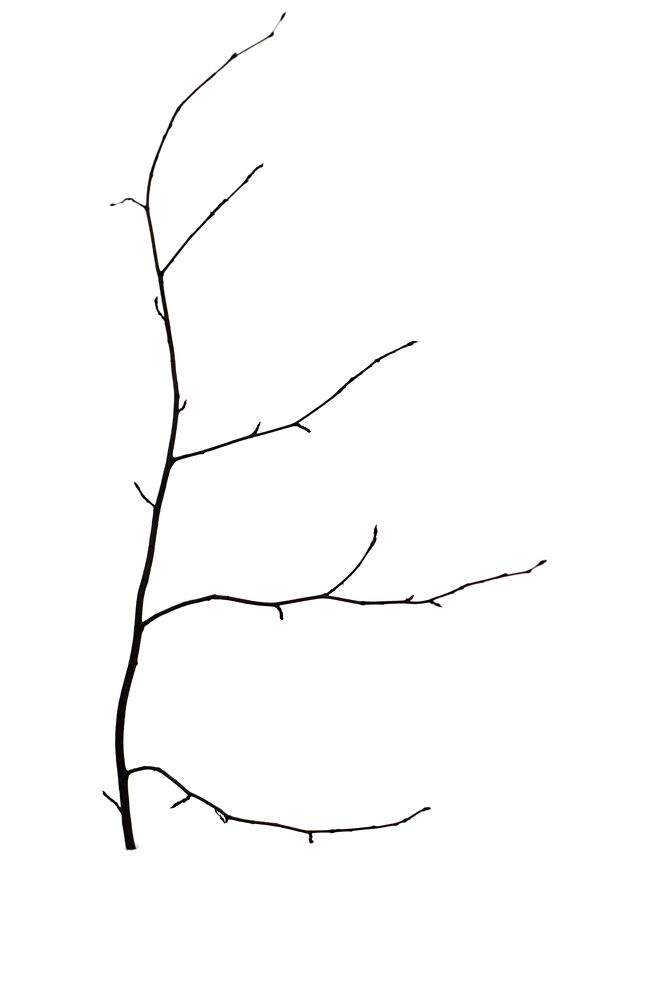 Photograph by Сергей Шерстнев