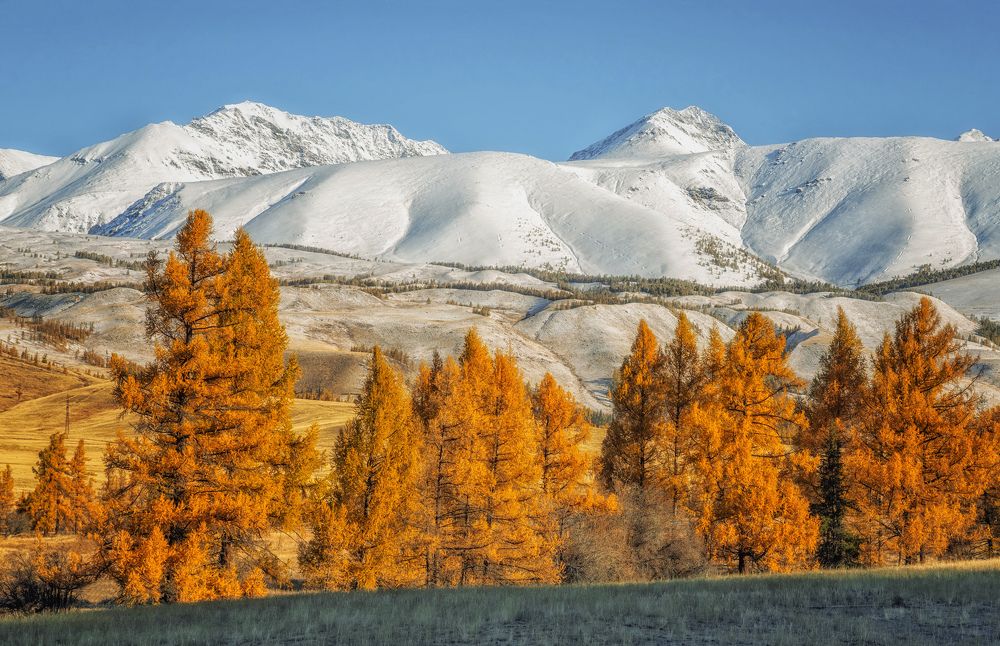 Photograph by lora_pavlova