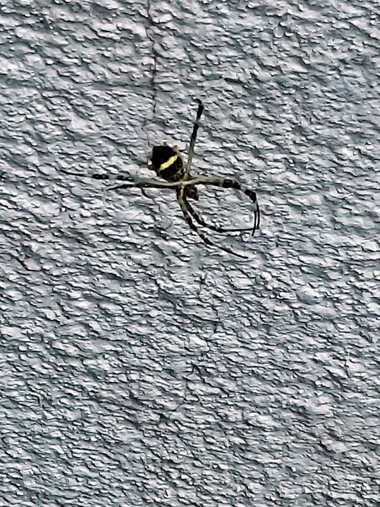 Фотография автора Rosana Cabrera