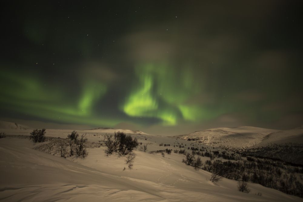 Photograph by Ernestas Balcikonis