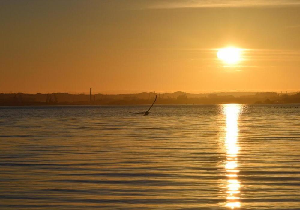 Photograph by Светлана