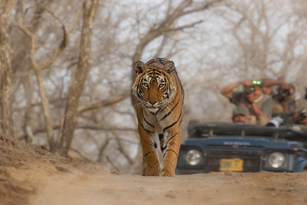 Photograph by Abhinav Behera