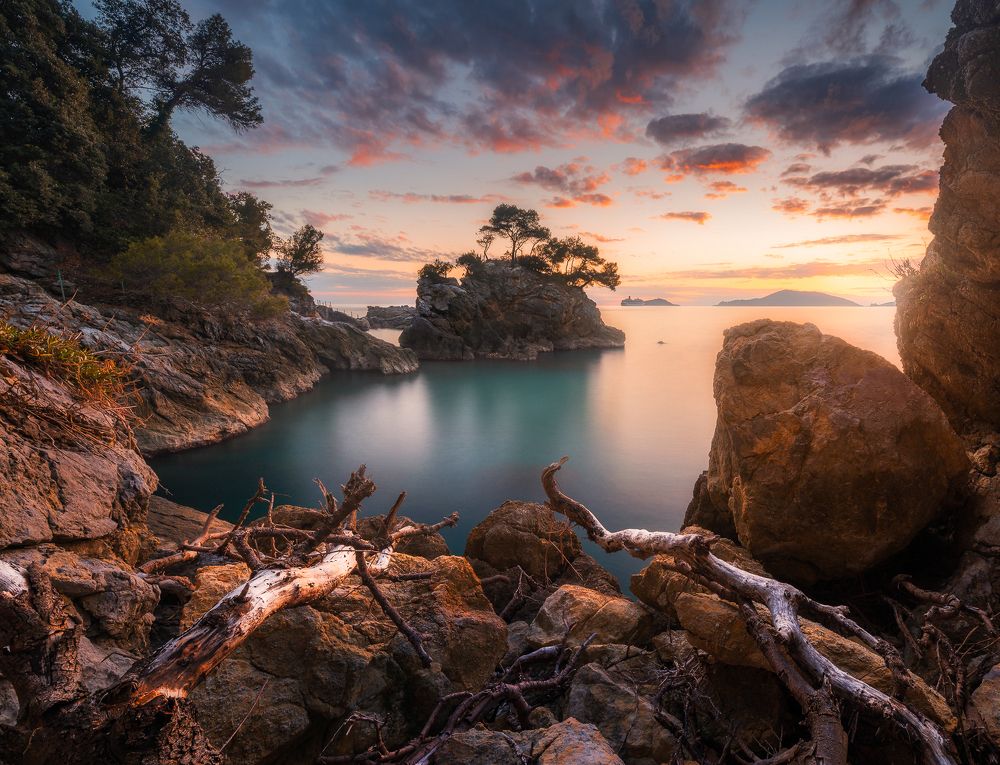 The Value of Kindness