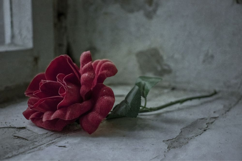 Photograph by Екатерина Чернышова