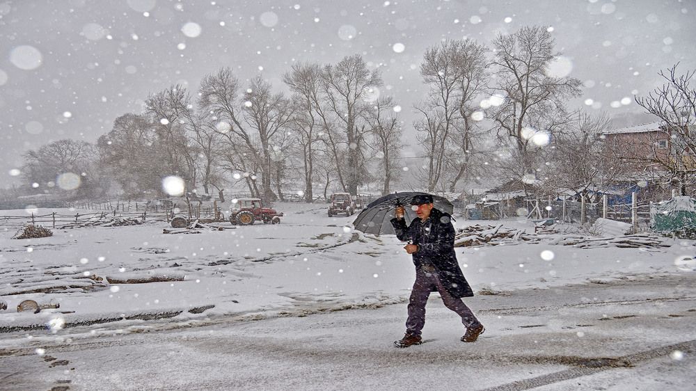 Photograph by Bekir Yesiltas