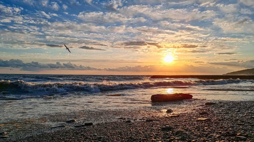 В поисках Ответа