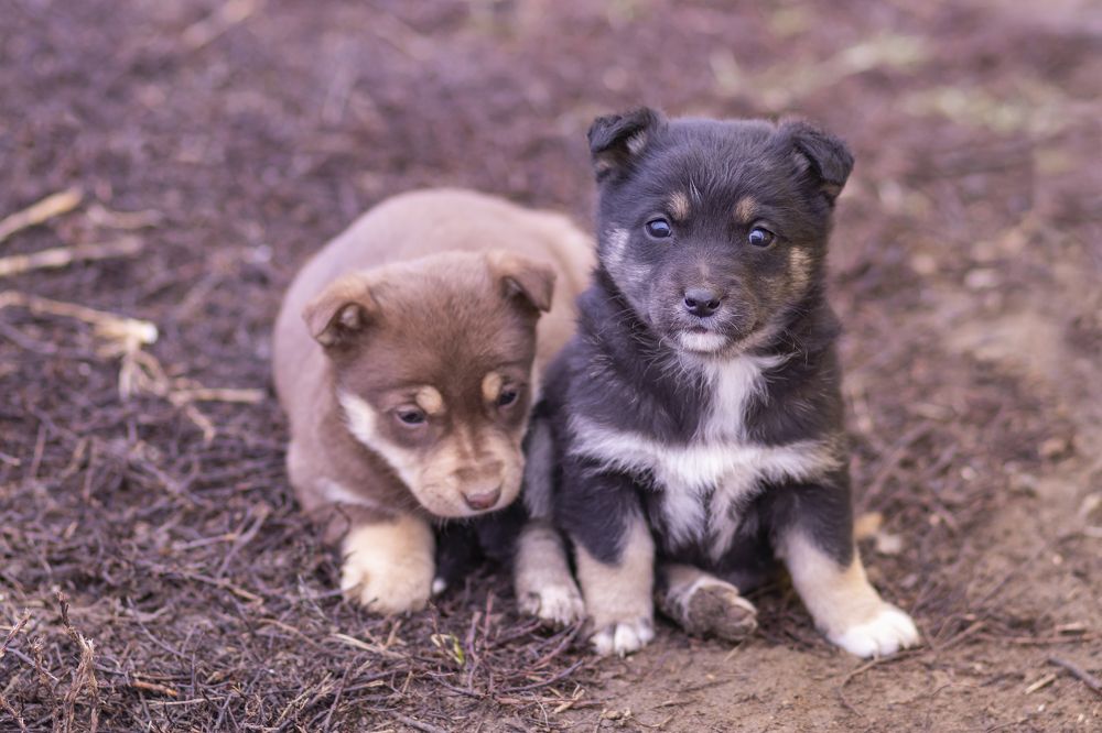 Photograph by Ivan Bazhenov