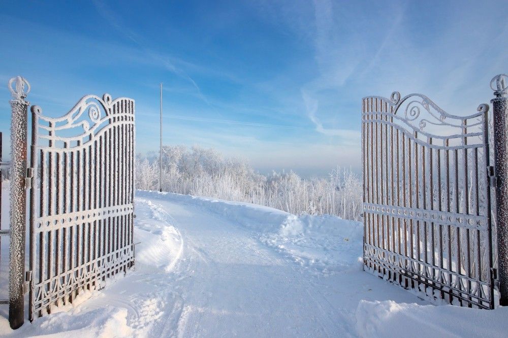Photograph by Владимир Федин