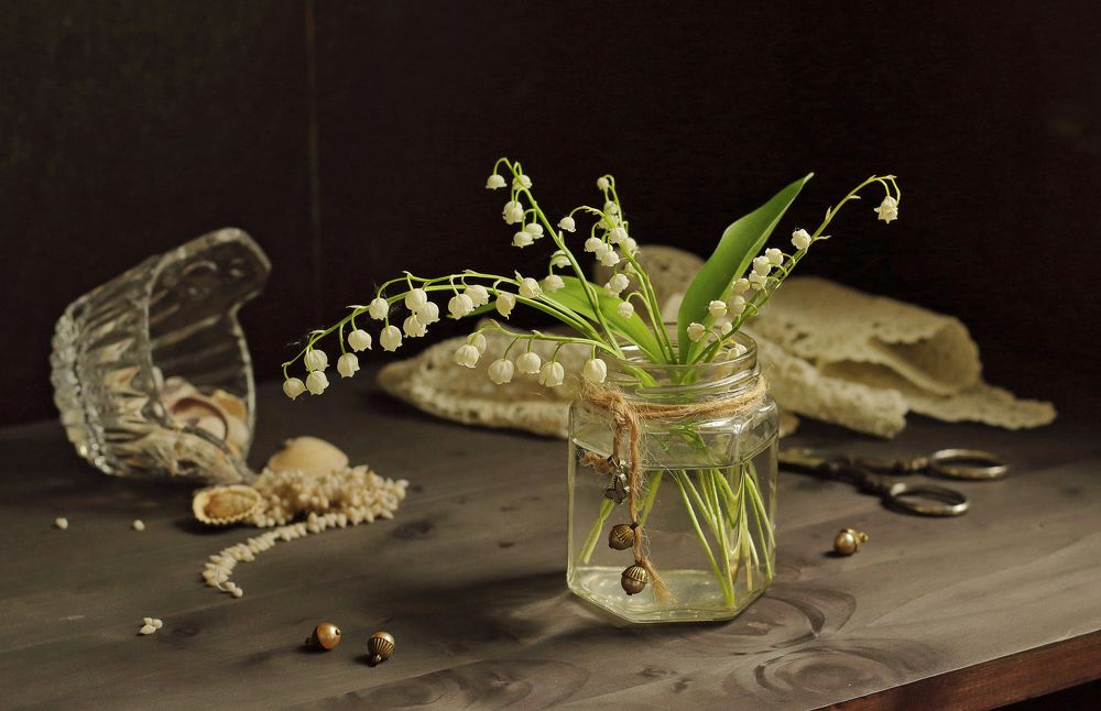 Фотография автора ТАТЬЯНА ЗАХАРОВА