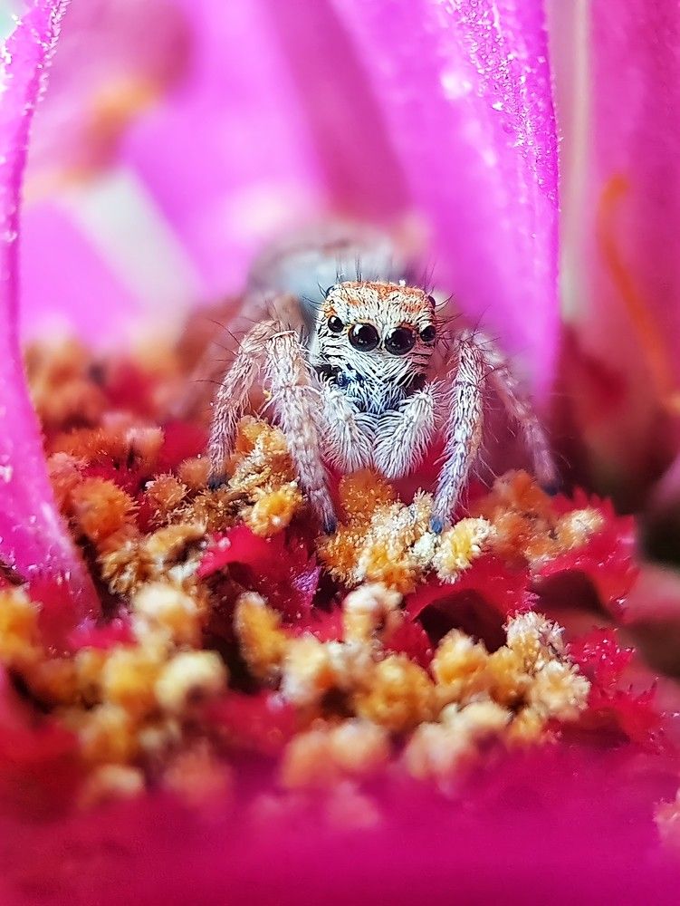 Photograph by Ali goreishi