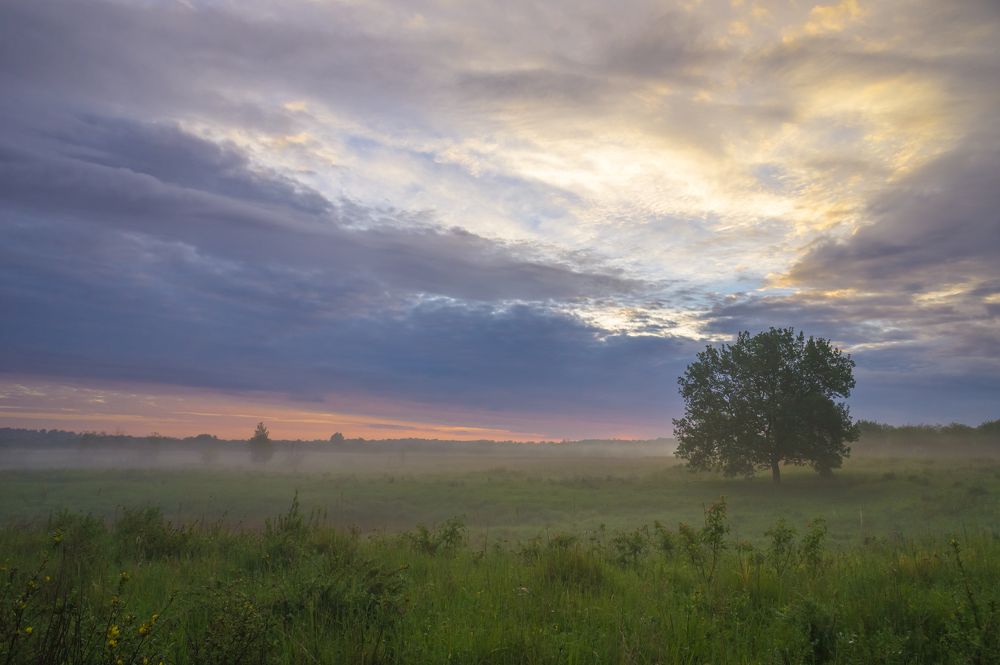 Photograph by Igor Andreev