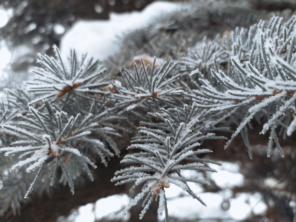 Photograph by Марина Евграфова