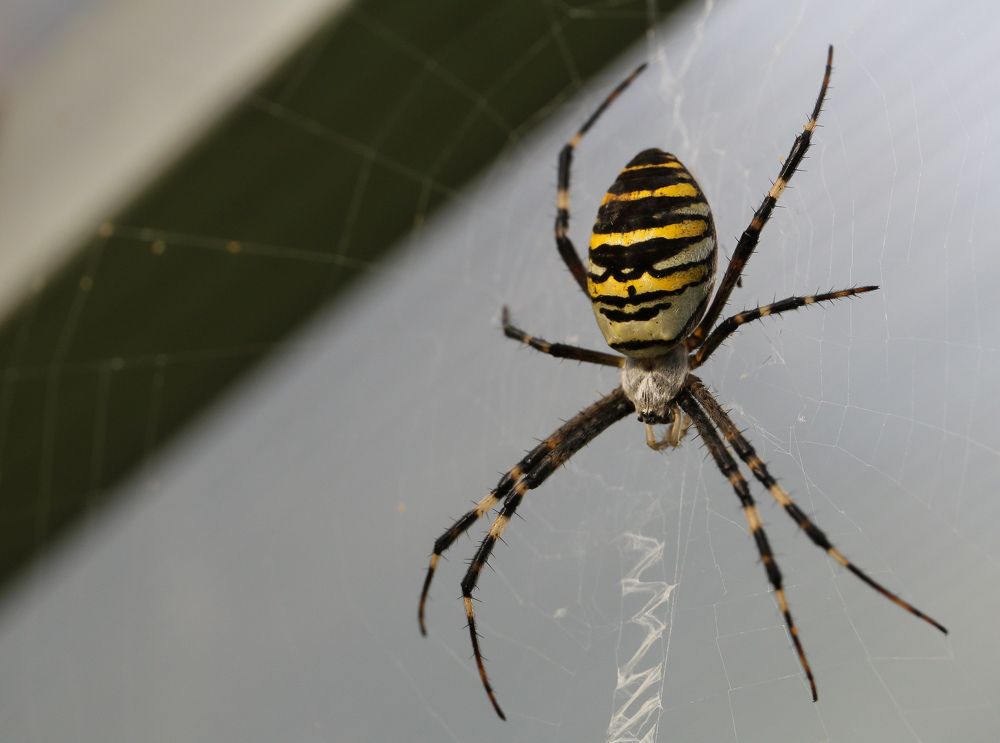 Photograph by Наталья Рябоконенко