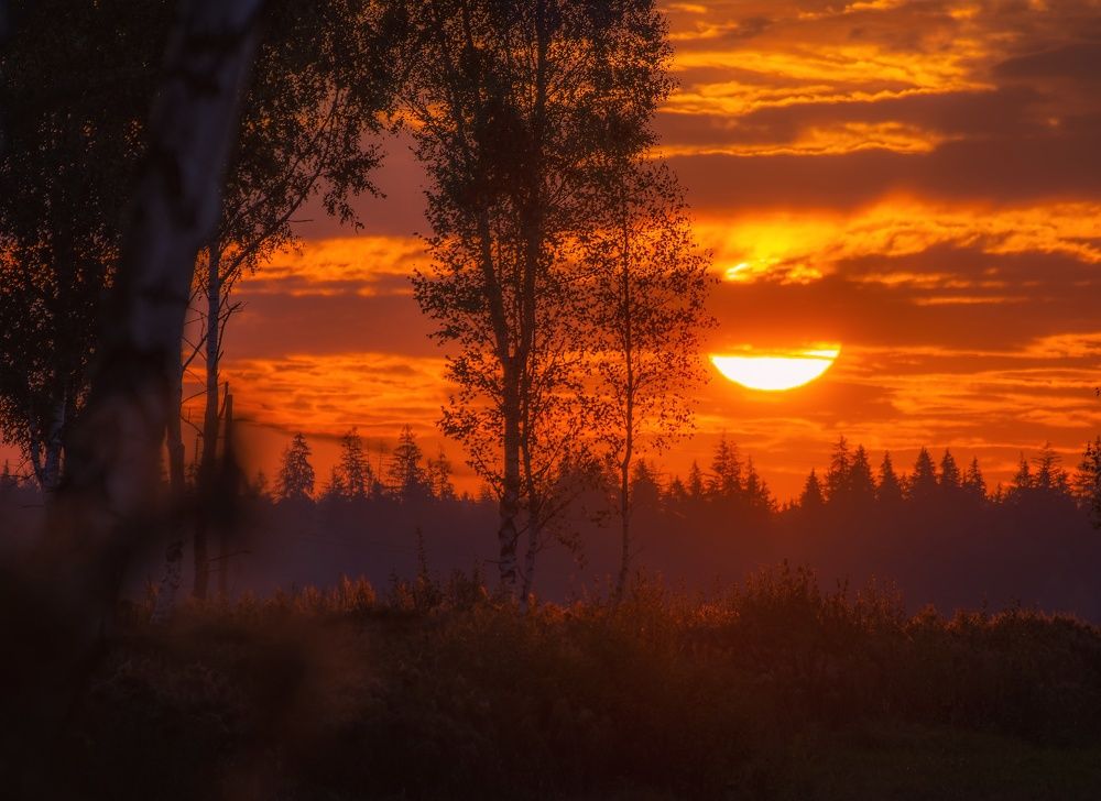 Фотография автора Андрей Врубель