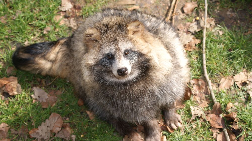Photo #7282306