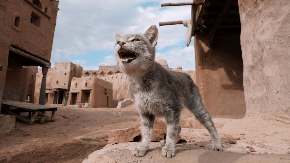 Photograph by Alex Belov