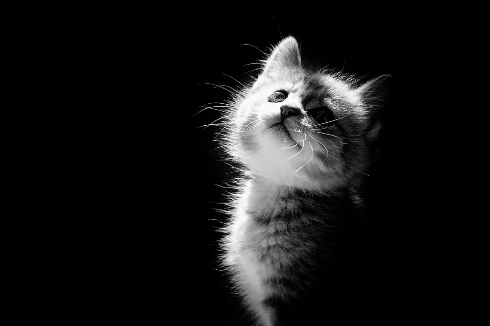 Photograph by Екатерина