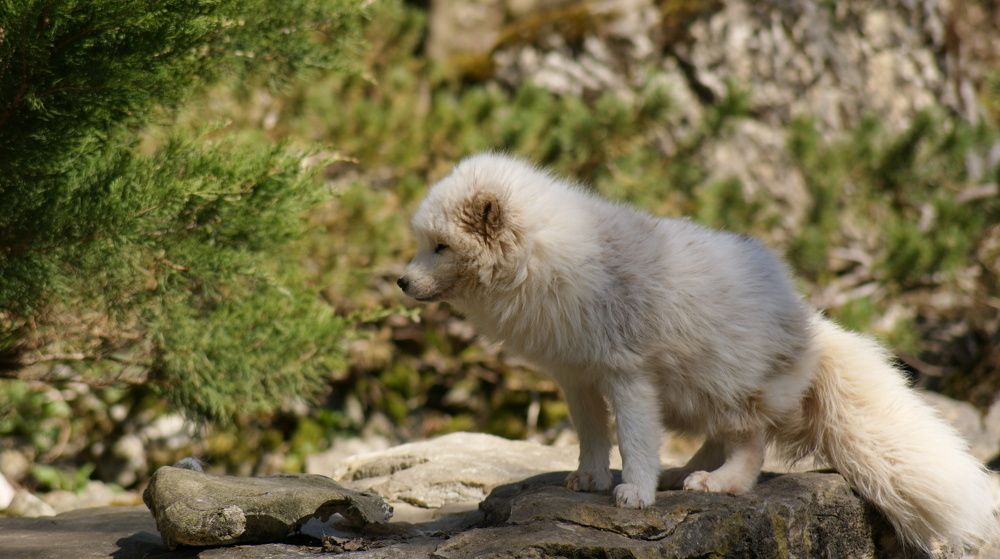 Photo #7282322