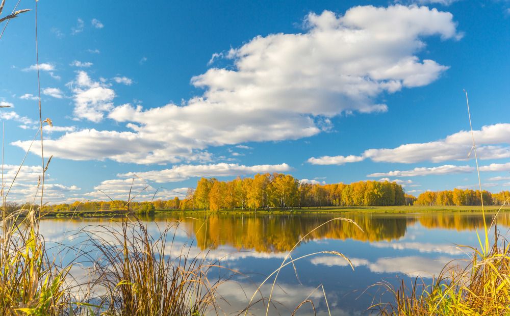 Золотая осень.
