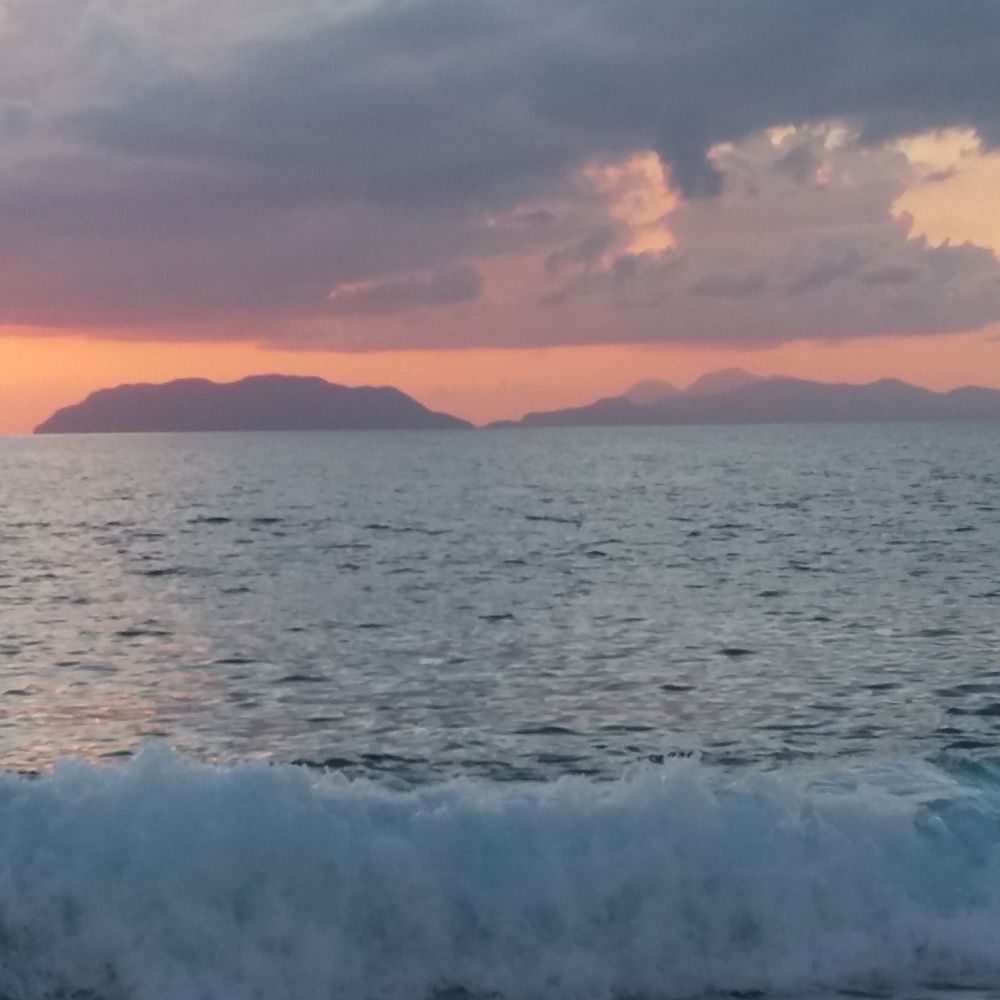 Photograph by WANDA OZIERANSKA