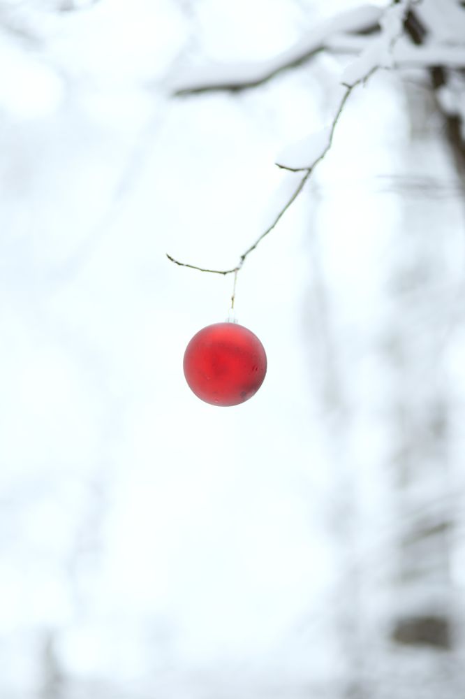Photograph by Екатерина Попова