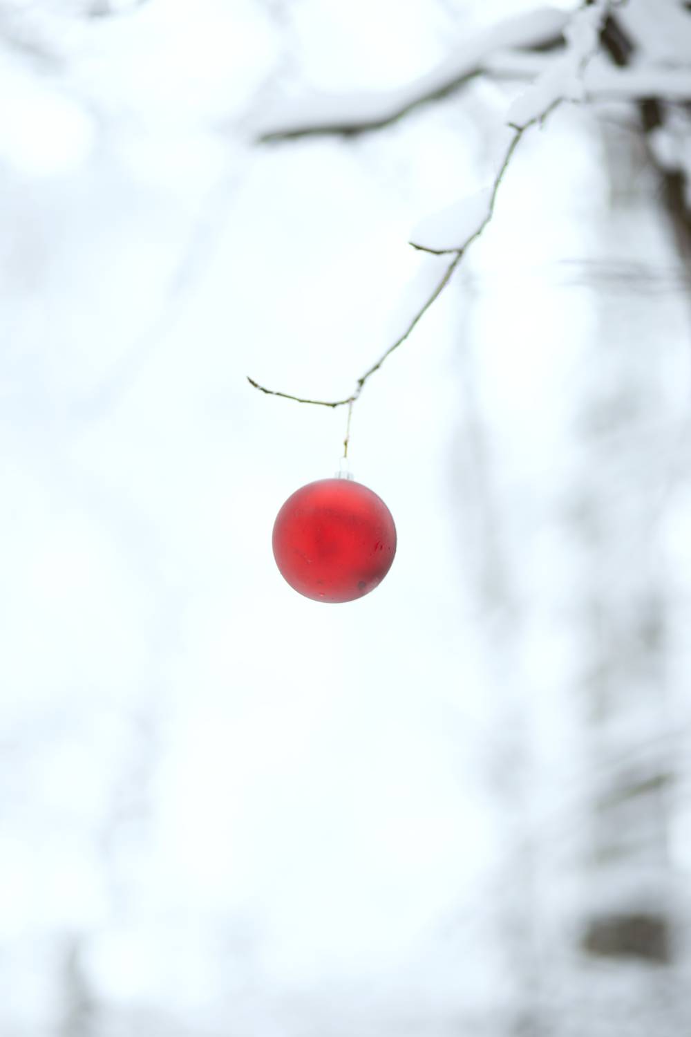 Photo #7282343