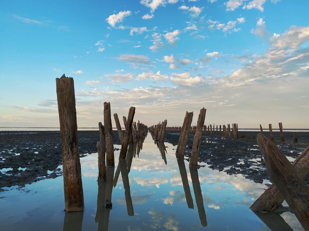 Photograph by Лена Лазарева