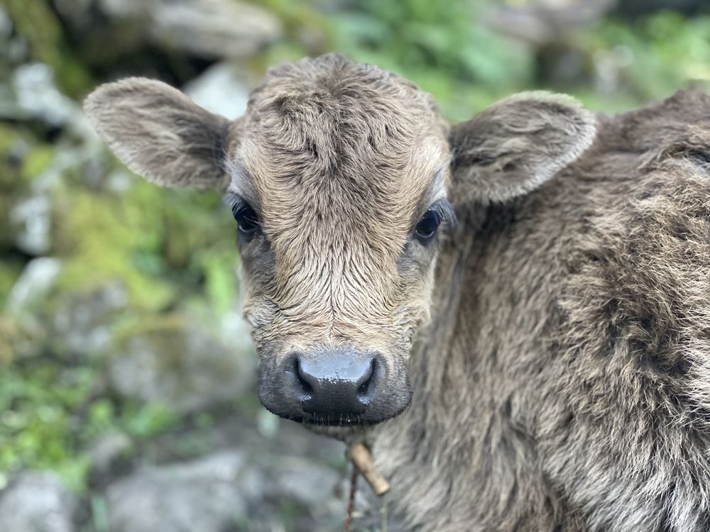 Photograph by Lalit Yadav