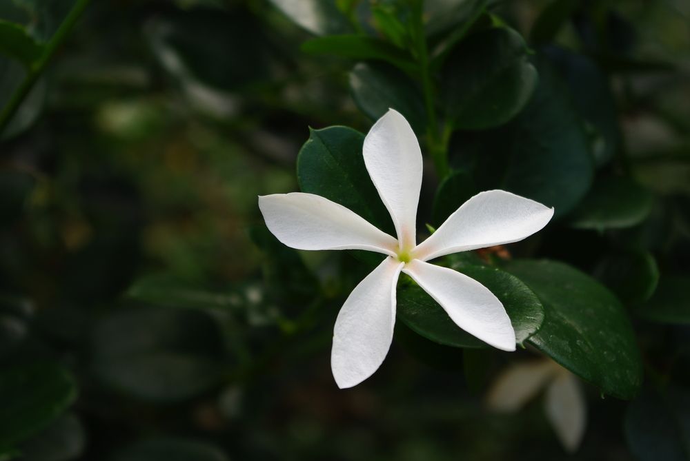 Photograph by Mарина Лесницкая