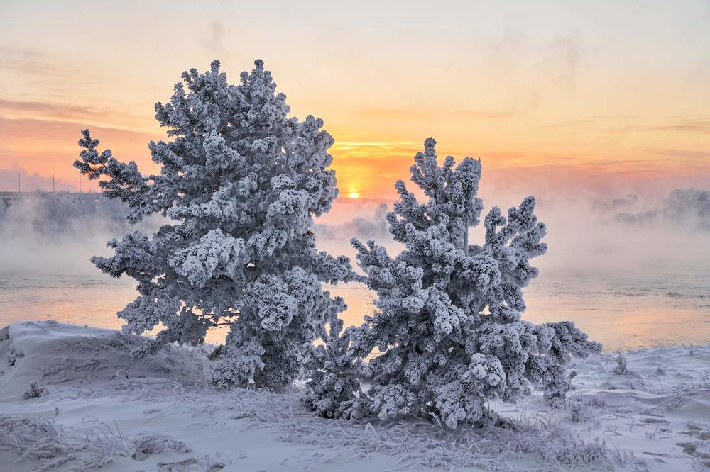 Photograph by Сергей Низовцев