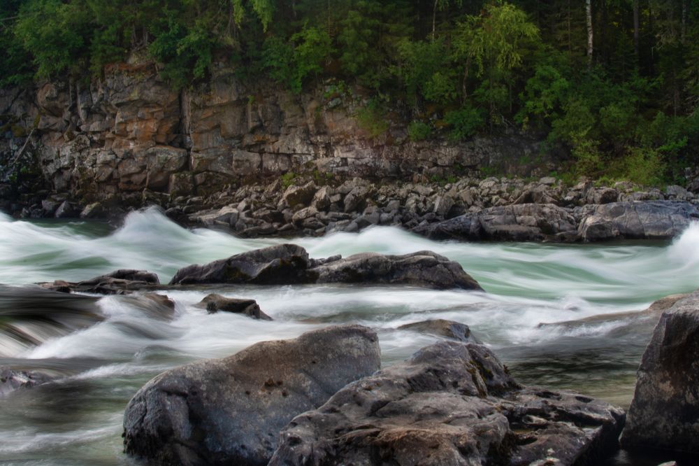 Фотография автора Светлана Воротынцева