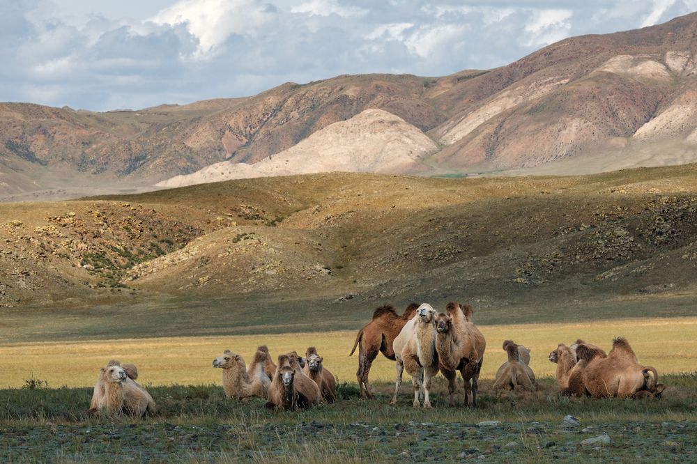 Photograph by Леонтьев Константин