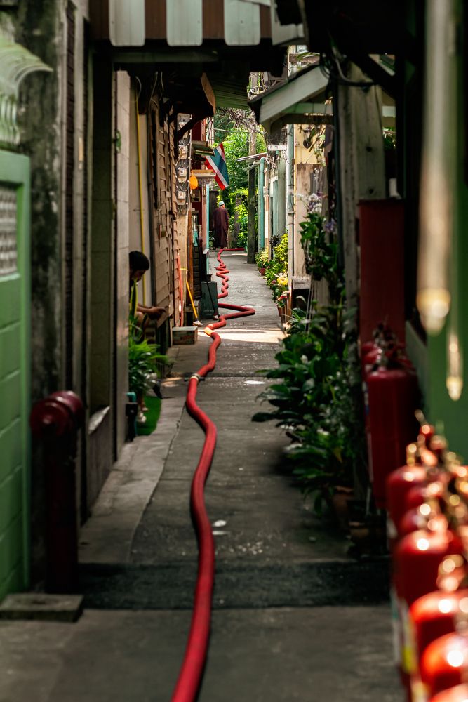 Фотография автора Denis Druz