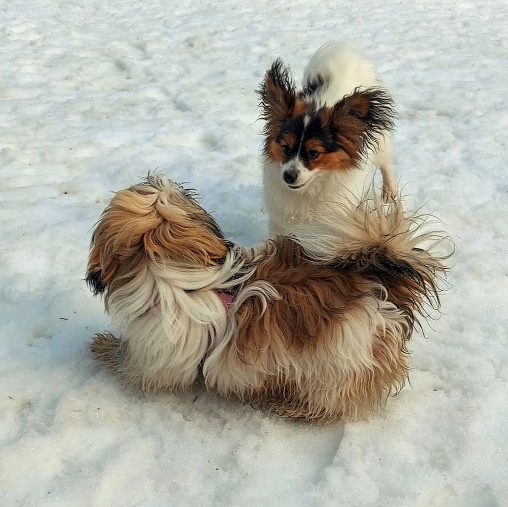 Photograph by Epp Tappel