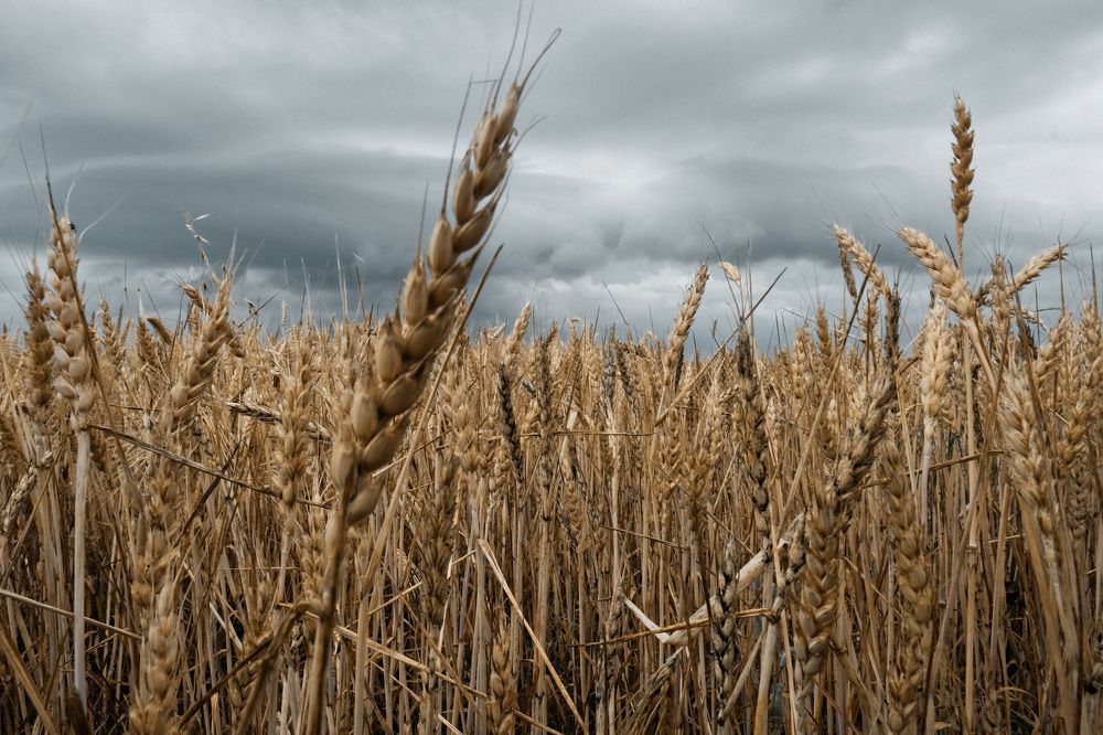 Photograph by Alex Belov