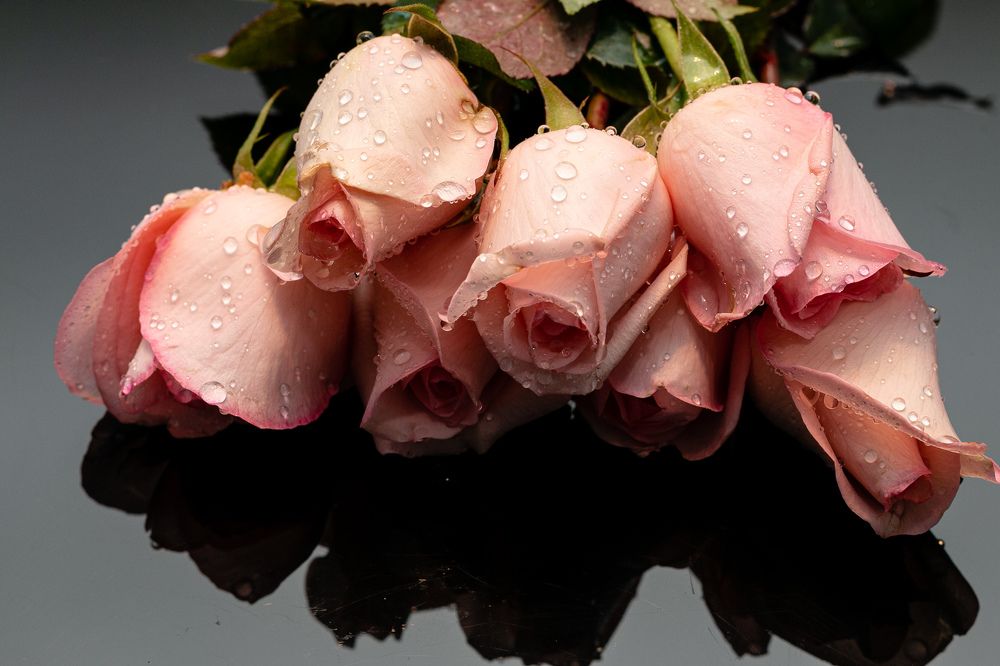 Photograph by Даниел Чобанов