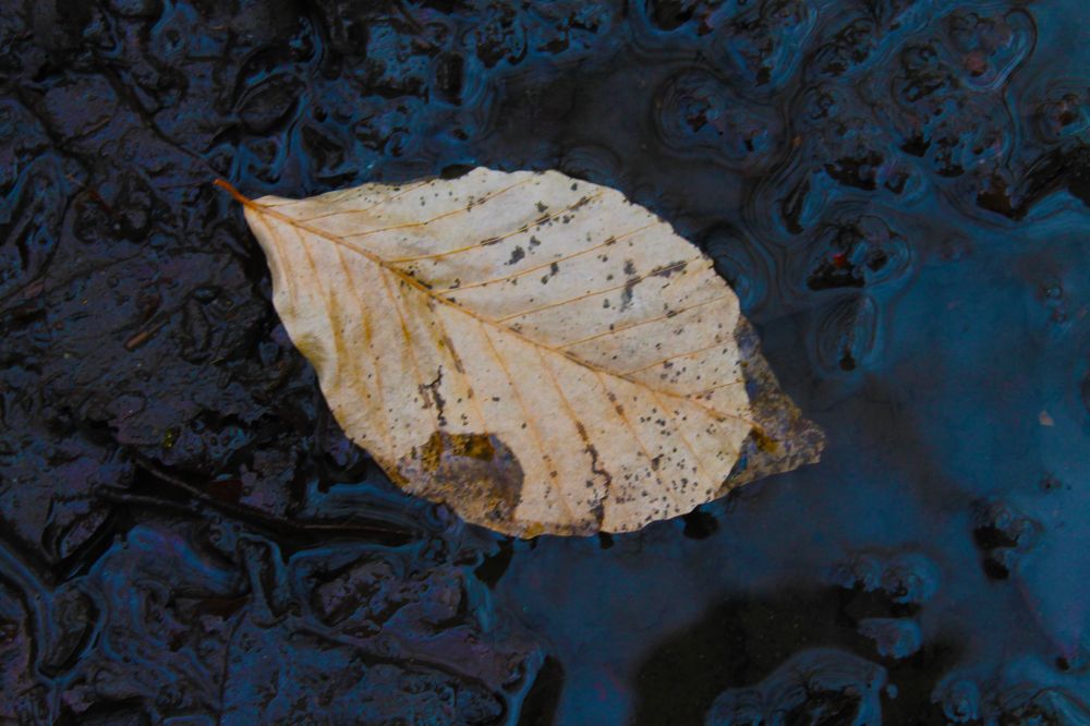 Photograph by Yavuz Sandıkcıoğlu