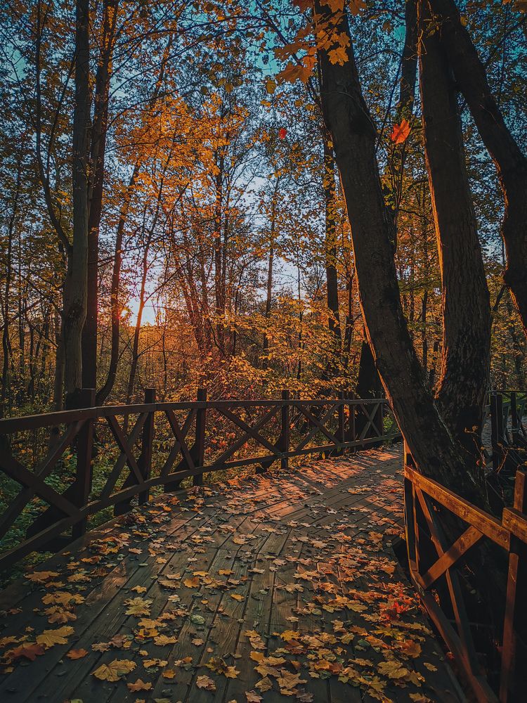 Photograph by Ксения Прохорова