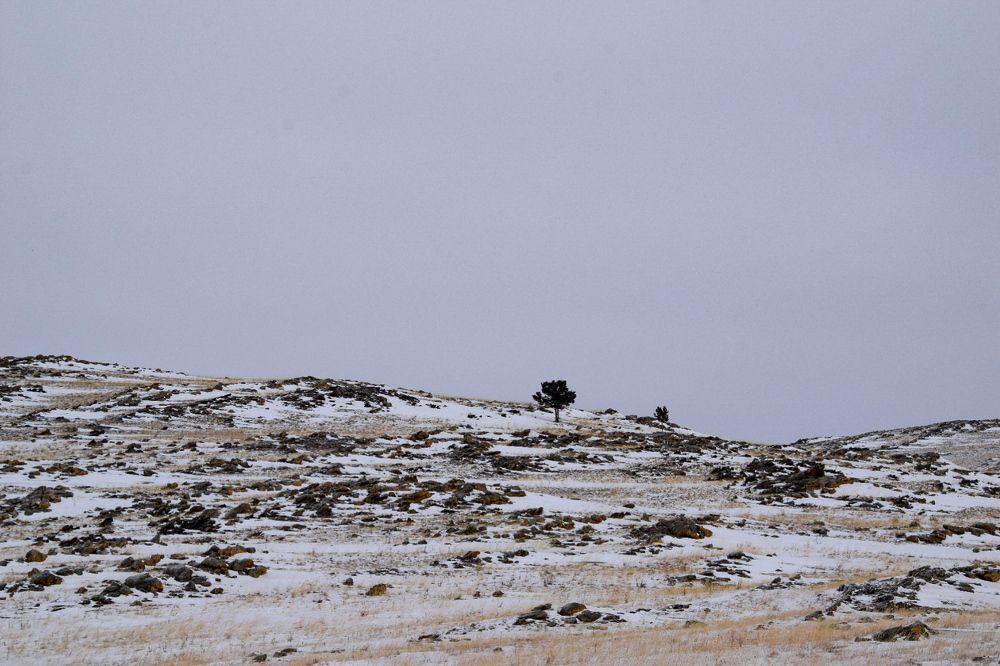 Photograph by Марина Корреа Ластра