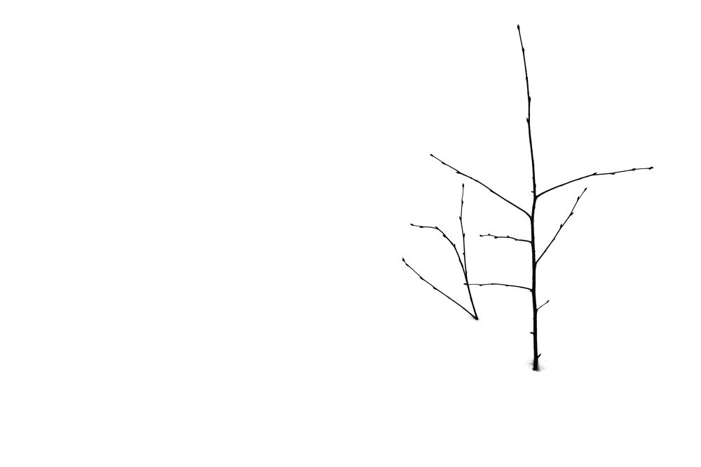 Photograph by Сергей Шерстнев